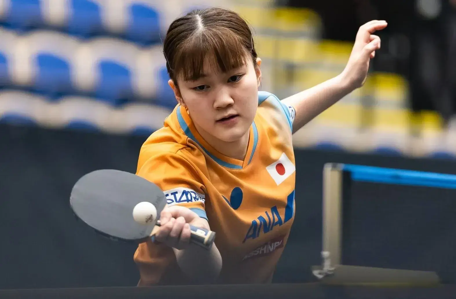 第三裁判登, 决赛, 赛也给陈幸