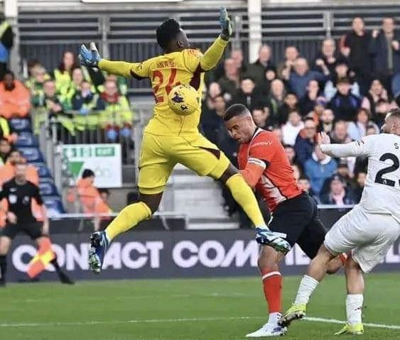 体验卡即将, dingy, ws